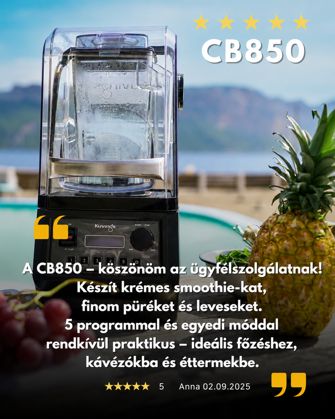 Slika recenzije kupca komercijalnog blendera Kuvings CB850 koja prikazuje uređaj s ananasom i slikovitom pozadinom za smoothieje i pirea.