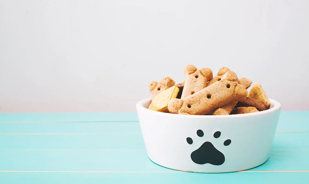 White bowl with a black paw print filled with dog treats on a light blue surface made with kuvings pulp